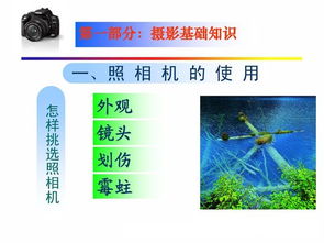 基礎知識,講解,入門(mén),攝影
