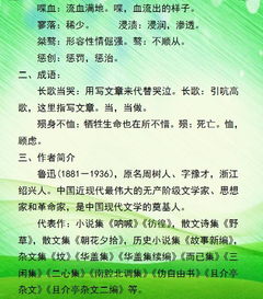 河北高一語(yǔ)文基礎知識整理