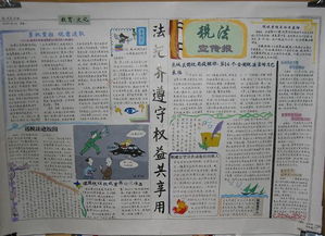稅法,基礎知識,手抄報