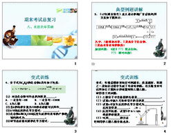 化學(xué)基礎知識入門(mén)書(shū)籍,化學(xué)基礎知識入門(mén),化學(xué)基礎知識入門(mén)txt