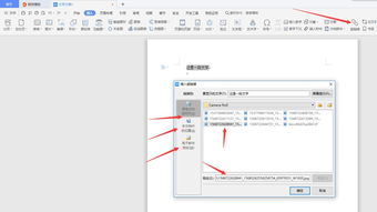 基礎知識,wps,word