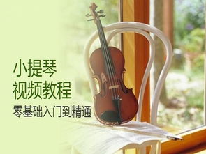 小提琴基礎知識教學(xué)