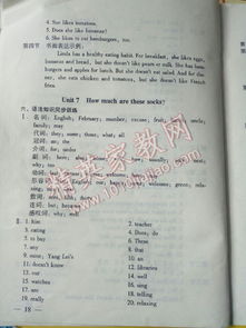 初中基礎知識講析與測試七級下冊答案