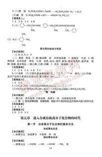 九下化學(xué)伴你學(xué)基礎知識梳理答案