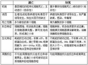 醫學(xué)基礎知識和醫療專(zhuān)業(yè)基礎知識,醫學(xué)基礎知識衛生法規重點(diǎn),醫療事業(yè)單位醫學(xué)基礎知識試題