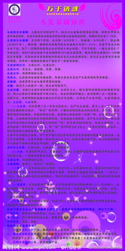 頭部的基礎知識