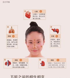 五行面診基礎知識
