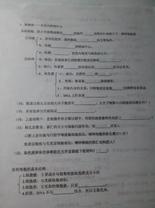 高一生物必修二基礎知識填空