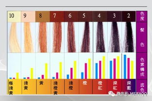 美發(fā)色彩的基礎知識
