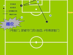 足球教學(xué)基礎知識