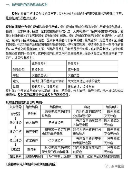 背部調理基礎知識