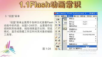 flash基礎考試知識