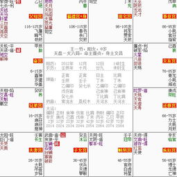 飛星紫微排盤(pán)基礎知識
