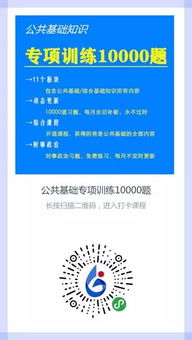 基礎知識,專(zhuān)項,訓練