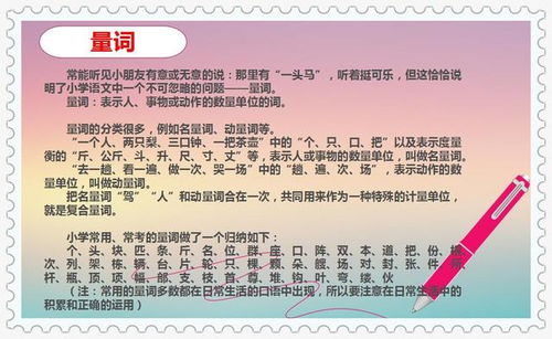 基礎知識,必備,小學(xué)