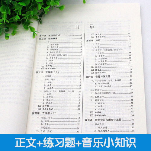 簡(jiǎn)譜,樂(lè )理,基礎知識,入門(mén)教程