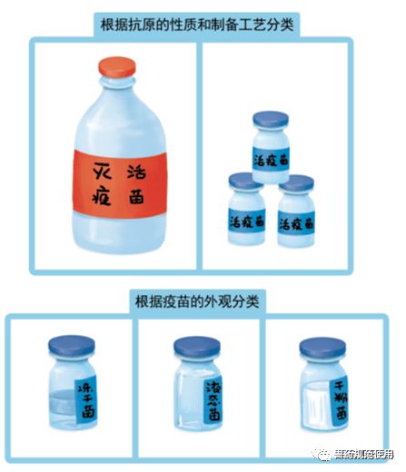 獸用疫苗接種的基礎知識