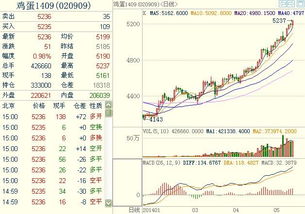 鄭煤期貨基礎知識