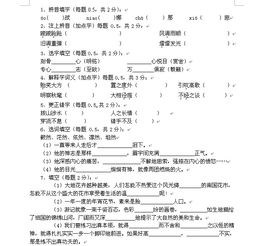 基礎知識小卷語(yǔ)文試題