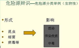 安全管理安全基礎知識講義