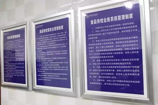 食品藥品市場(chǎng)監管基礎知識