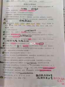 中考說(shuō)明文的基礎知識