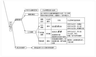 初中生物基礎知識大全