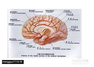 樂(lè )理基礎知識試卷,置業(yè)顧問(wèn)基礎知識試卷,基督教基礎知識試卷