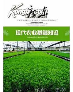 農業(yè)農村基礎知識pdf