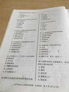 基礎知識,試題,影像,專(zhuān)業(yè)