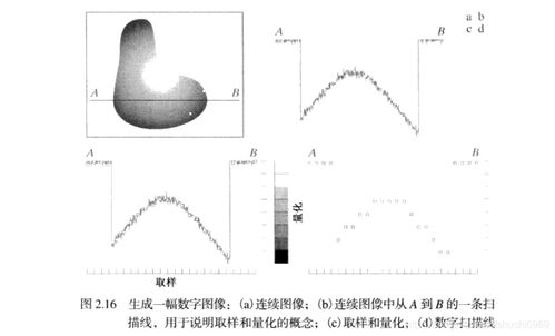 醫療數字影像基礎知識