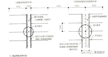基礎知識,測量,園林,基礎