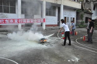 巴東,基礎知識,農業(yè)