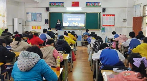 如何夯實(shí)小學(xué)生的基礎知識