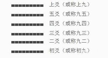 6爻基礎知識