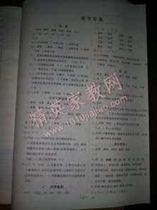 湘教版小學(xué)語(yǔ)文基礎知識