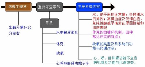 基礎知識學(xué)科