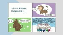 痔瘡的基礎知識