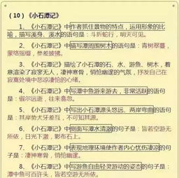 扎實(shí),基礎知識