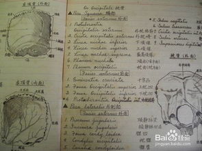 基礎醫學(xué)知識對于醫學(xué)生