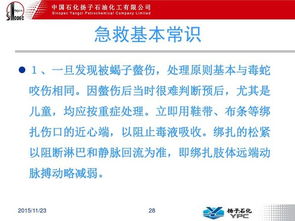 常規急救基礎知識,急救基礎知識考試試題,中學(xué)生急救基礎知識