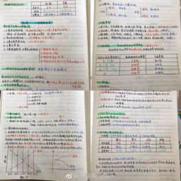 人體解剖學(xué)基礎知識筆記,鋼琴基礎知識筆記,pr基礎知識筆記