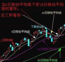股票入門(mén)基礎知識問(wèn)題