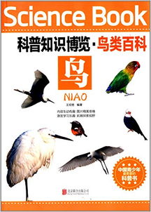 口紅分類(lèi)基礎知識,芯片分類(lèi)基礎知識,疤痕分類(lèi)基礎知識