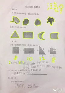 培養學(xué)生基礎知識和基本技能