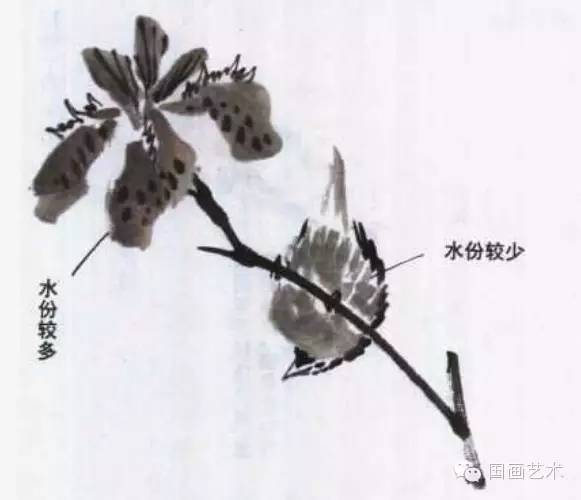 寫(xiě)意畫(huà)鳥(niǎo)基礎知識