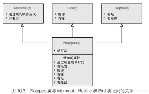 c繼承的基礎知識