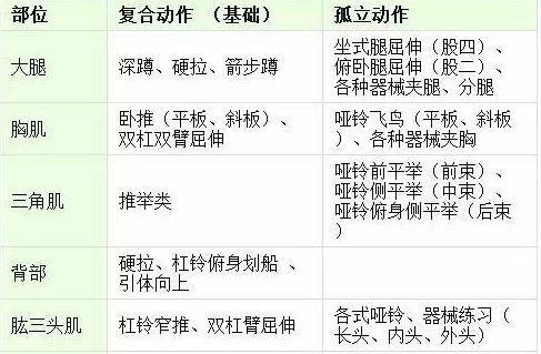 身體基礎知識