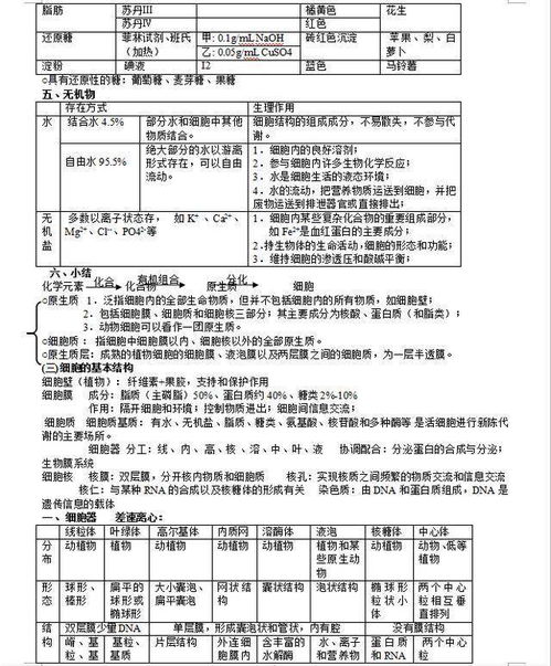 幼兒基礎知識點(diǎn)梳理