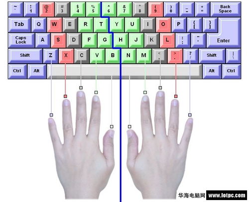 電腦打字入門(mén)基礎知識